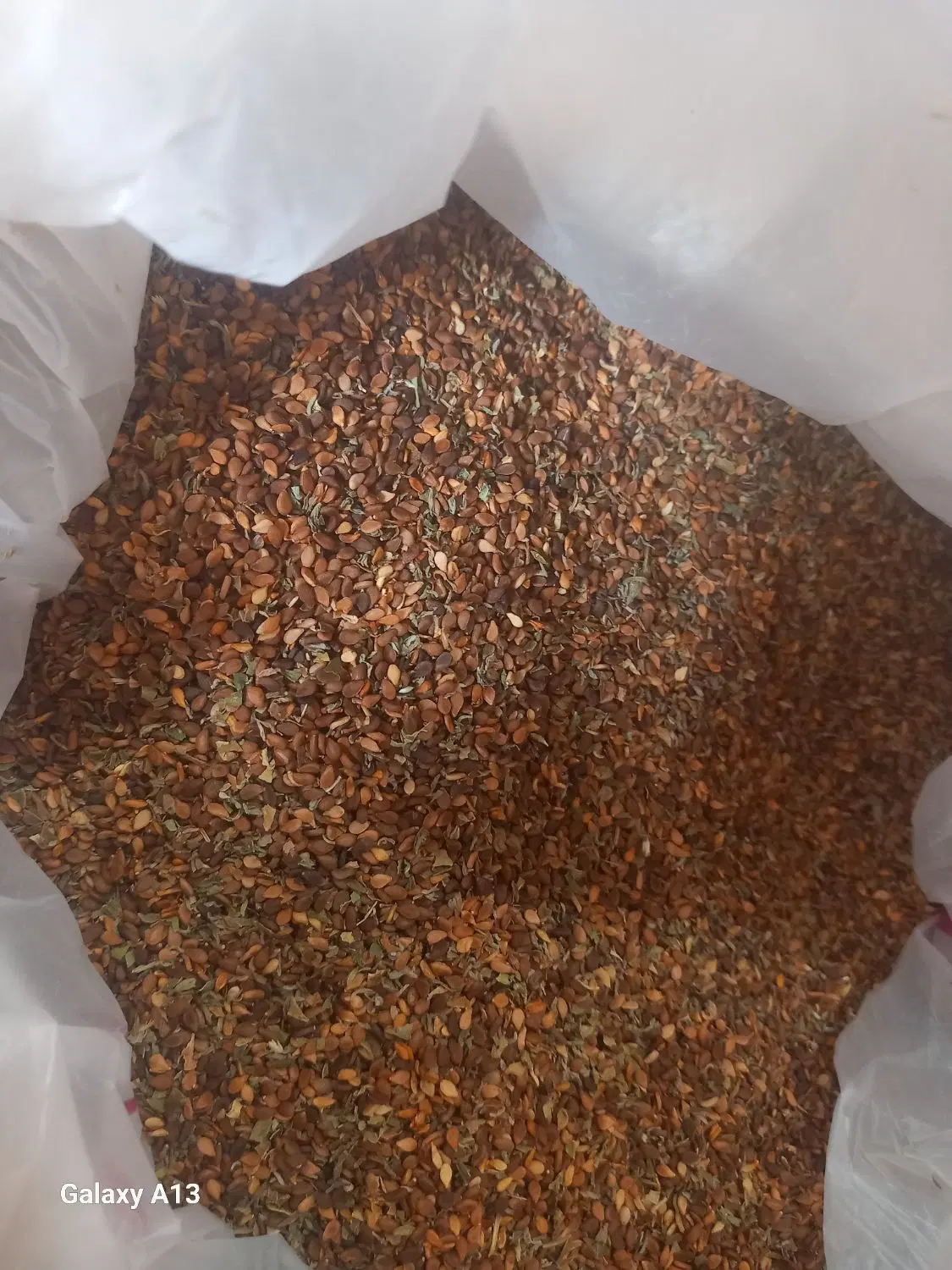 کنجد|خوردنی و آشامیدنی|بندرعباس, |دیوار