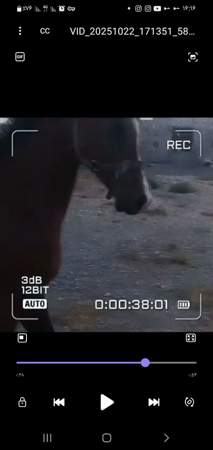 نریان ۳ساله عرب  خالص کره اسکایپ|اسب و تجهیزات اسب‌سواری|اراک, |دیوار