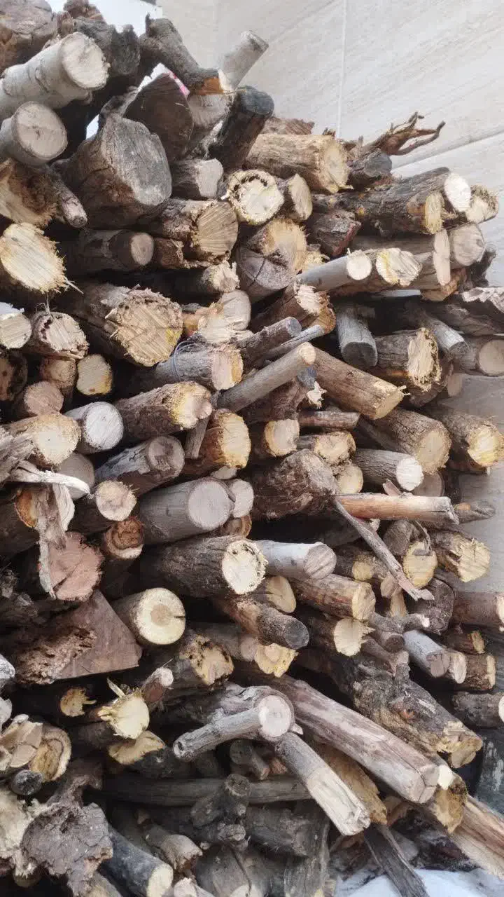 هیزم|عمده‌فروشی|شیراز, شهرک قمشه|دیوار