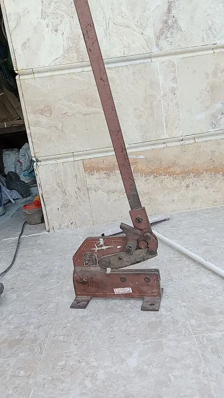 فروشی با کفترم معامله میشه نوق هست|پرنده|فردوس (کرمان), |دیوار