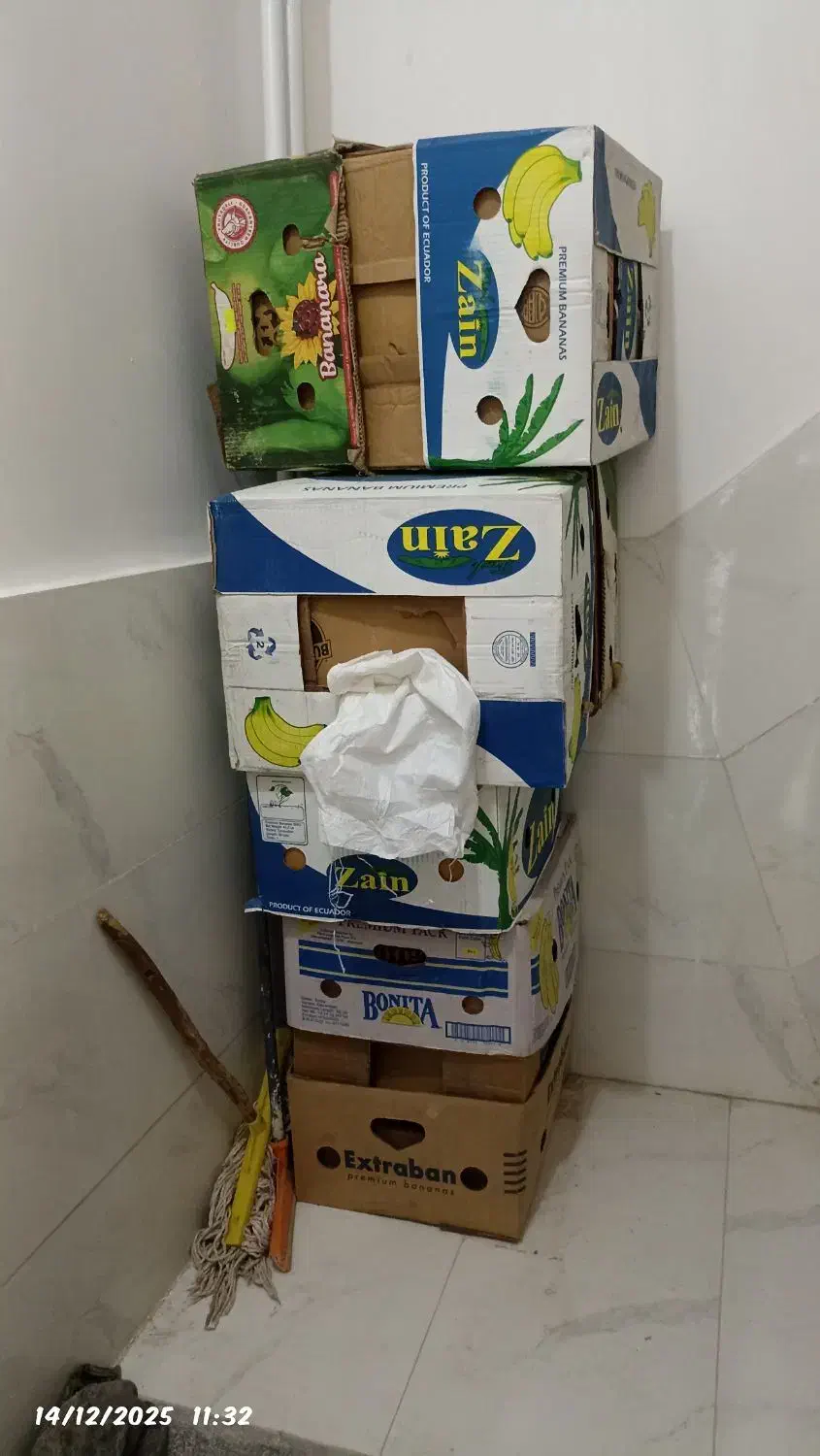 کارتون موز|عمده‌فروشی|همدان, |دیوار