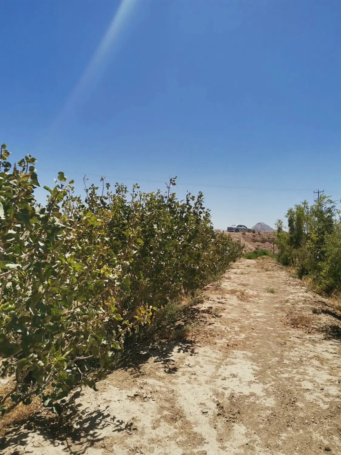 تصویر 3