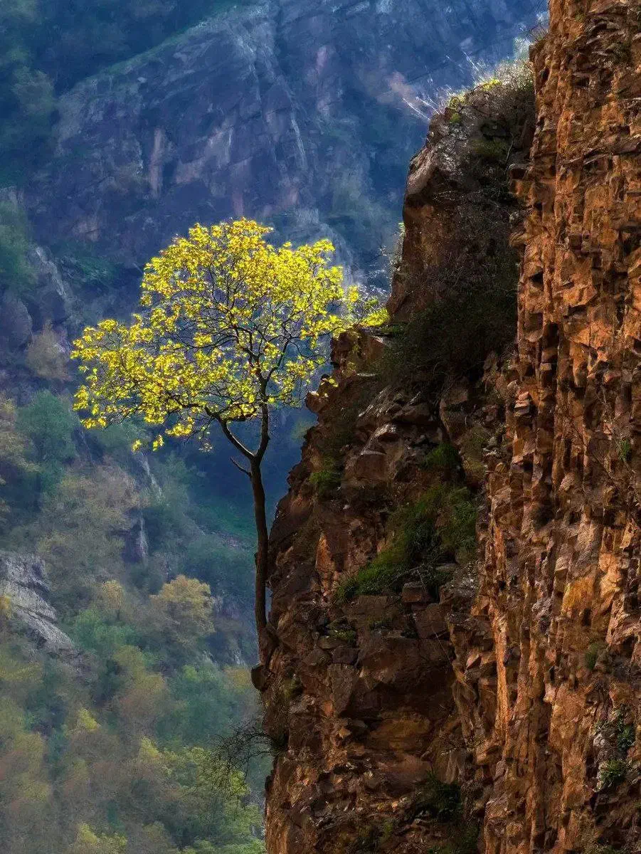 مسافر|خدمات حمل و نقل|درمیان, |دیوار