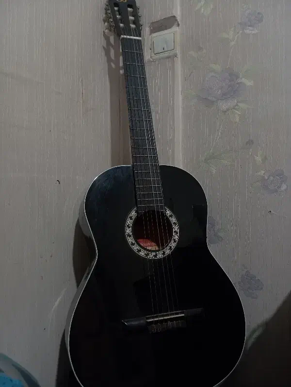 گیتار|گیتار، بیس، امپلیفایر|ری, فیروزآبادی|دیوار