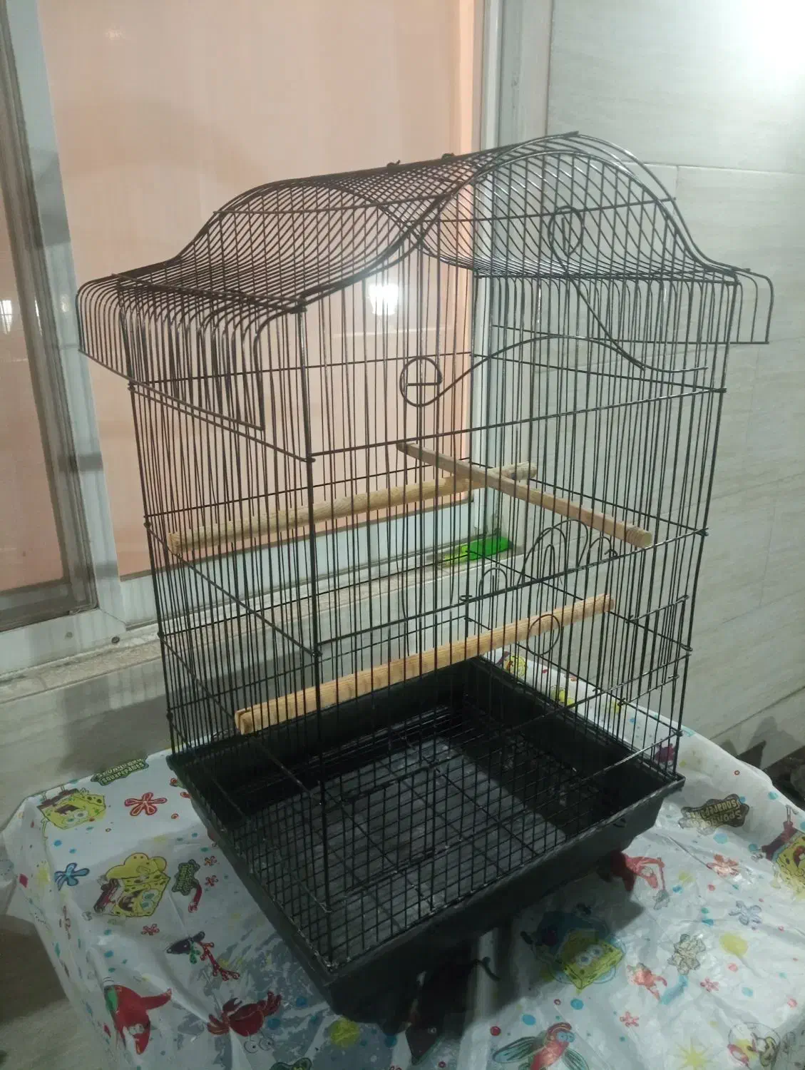 دو عدد قفس و یک پایه قفس|لوازم جانبی حیوانات|رشت, رشتیان|دیوار
