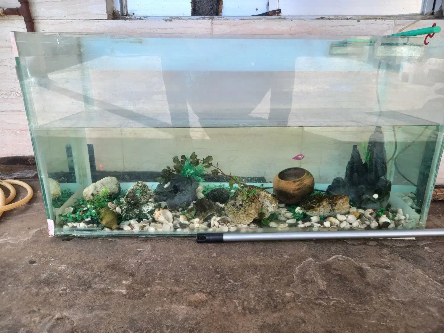 اکواریوم|ماهی|مشهد, کارگران|دیوار