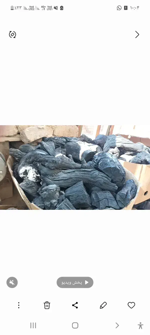 زغال انگور|عمده‌فروشی|تهران, سجاد|دیوار