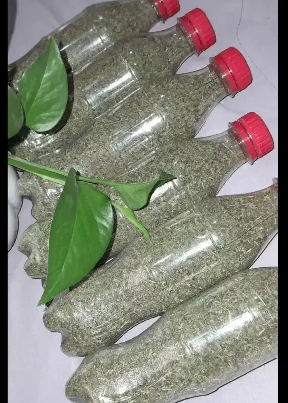 نعنا خالواش رب آلو شوید|عمدهفروشی|رشت, رودبارتان|دیوار