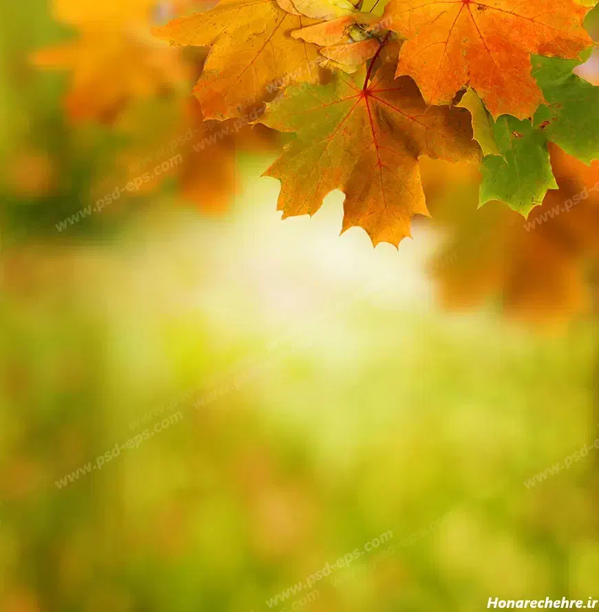 طراحی بنر،لوگو،کارت ویزیت|خدمات رایانهای و موبایل|بیرجند, |دیوار