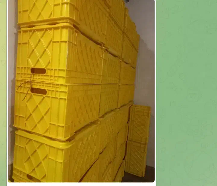 سبد زرشکی|اشیا|بیرجند, |دیوار