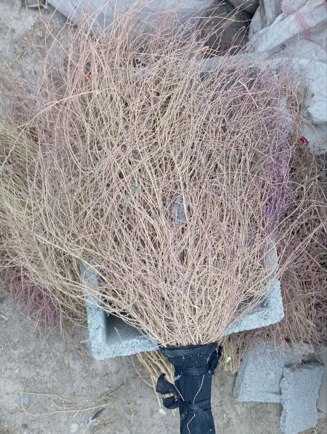 جارو فراشی|لوازم نظافت|کرمانشاه, |دیوار