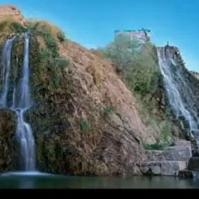 فروش آب|خدمات باغبانی و درختکاری|قائن, |دیوار