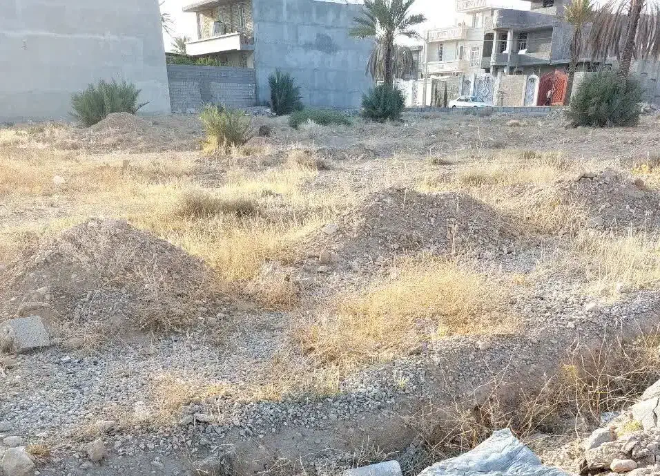 فروش زمین باغ نوشاد فاز یک|فروش زمین و ملک کلنگی|خفر, |دیوار