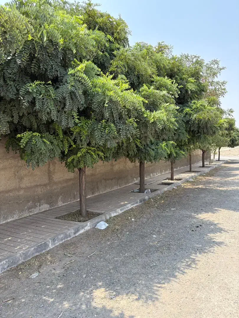 ۵۷۳ متر / چهار دیواری / سند تک برگ / رامجین|فروش خانه و ویلا|کرج, کوی مهر|دیوار