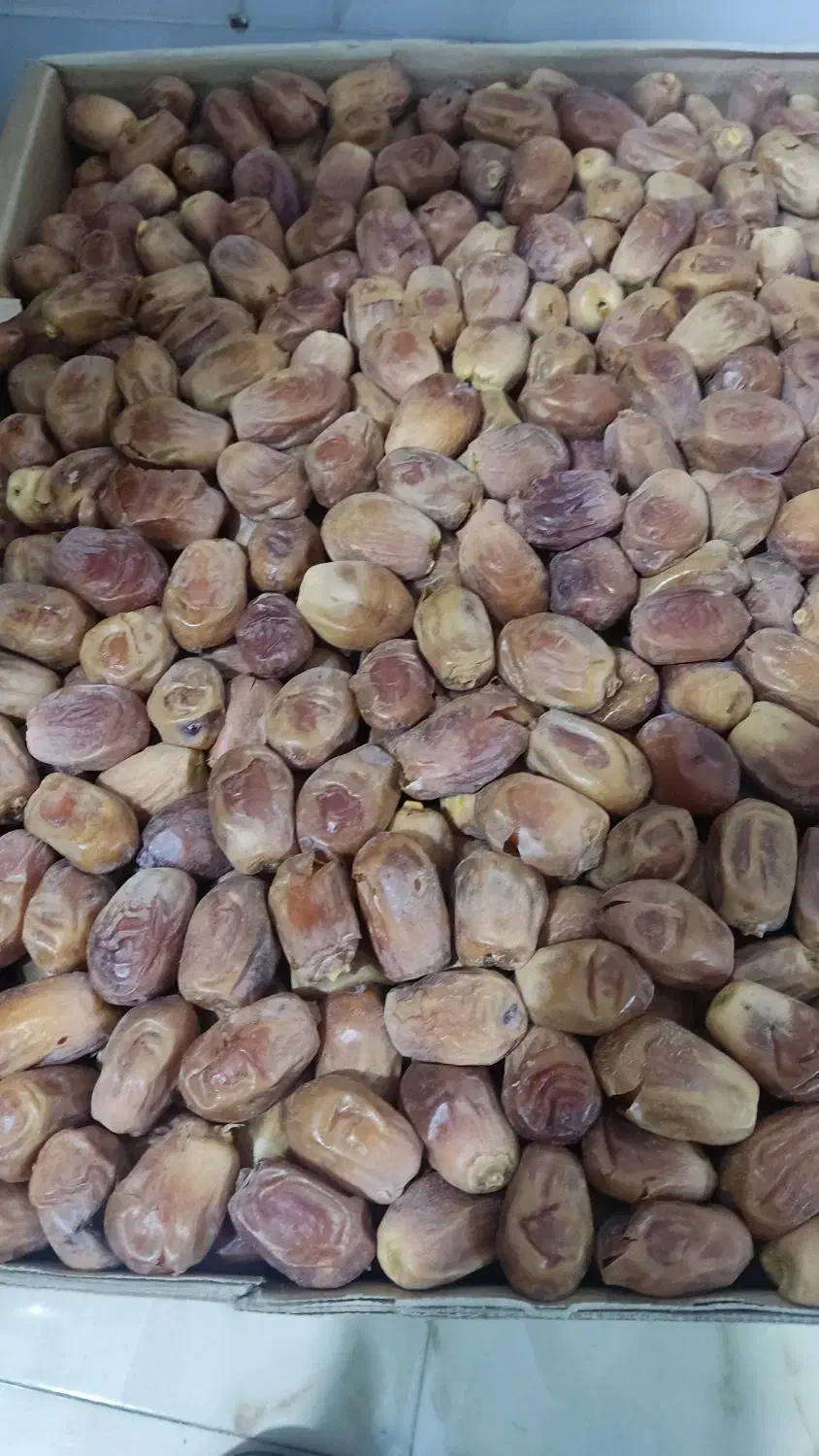 تخمه تخمه کدو خرما کشمش خشکبار بادوم زمینی|عمدهفروشی|رباطکریم, نصیرشهر|دیوار