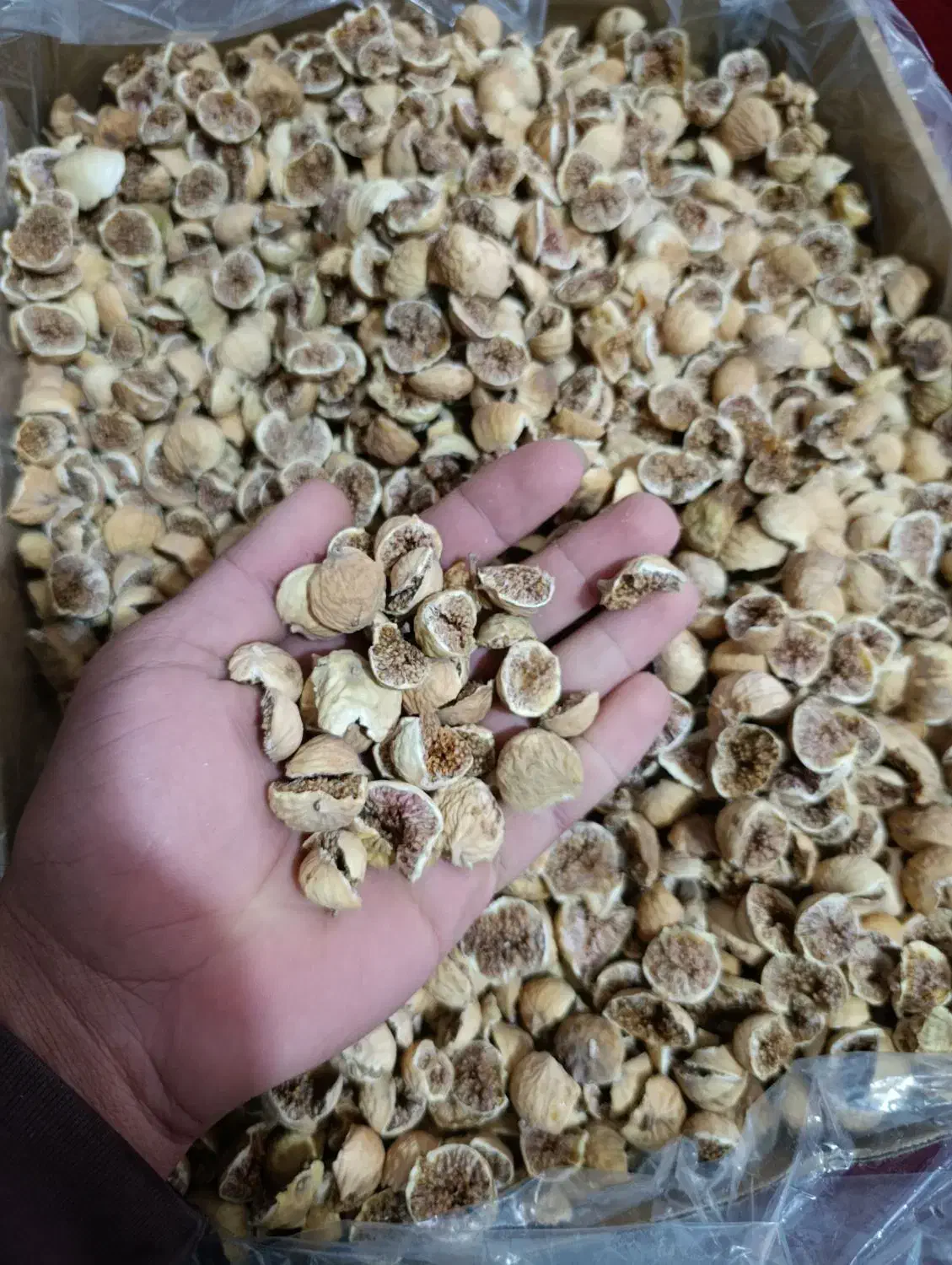 انجیر تکه|خوردنی و آشامیدنی|شیراز, کوشک میدان|دیوار