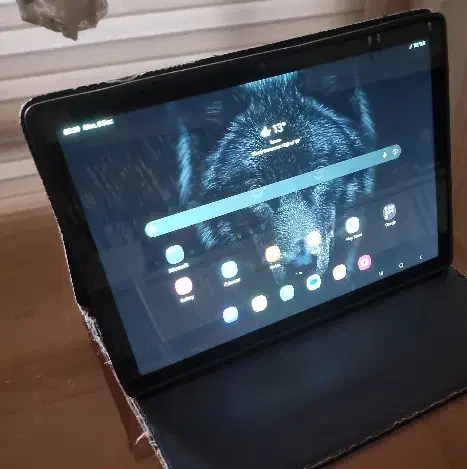 تبلت ۱۱ اینچ سامسونگ ۶۴ گیگ tab a8|تبلت|مشهد, سرافرازان|دیوار