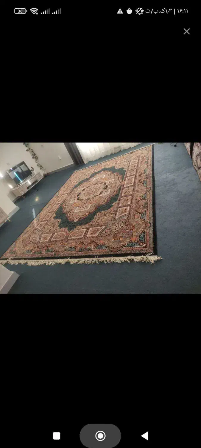 100متر موکت در حد نو|موکت|سنندج, |دیوار