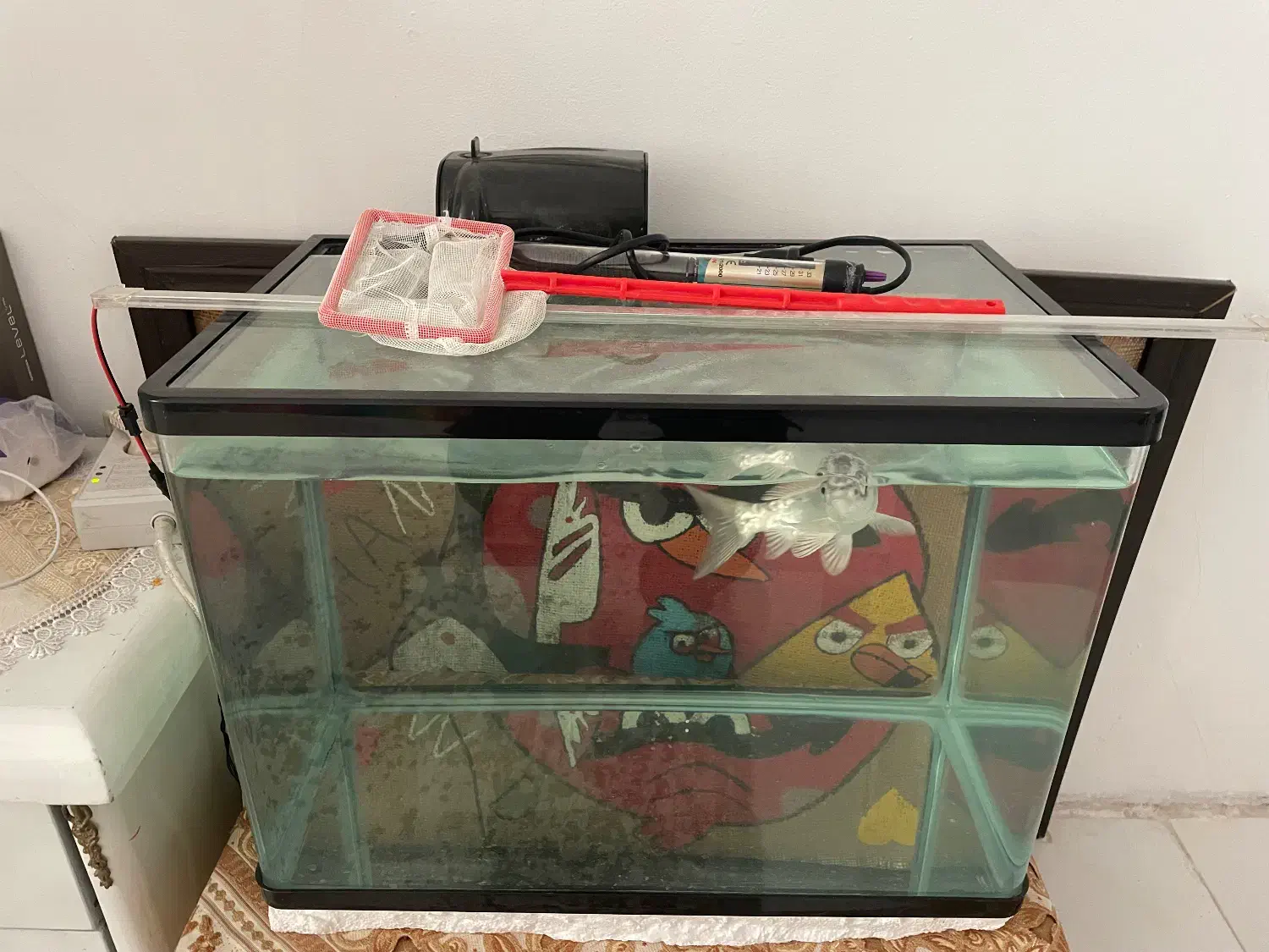 آکواریوم|ماهی|مشهد, کارمندان دوم|دیوار