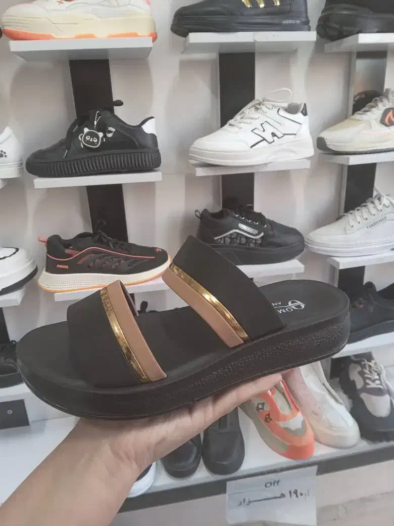 کفش پاندا|کیف، کفش، کمربند|شوشتر, |دیوار