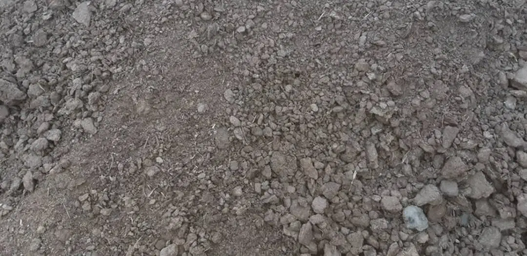 کود گاوی دامی|خدمات باغبانی و درختکاری|برخوار, |دیوار