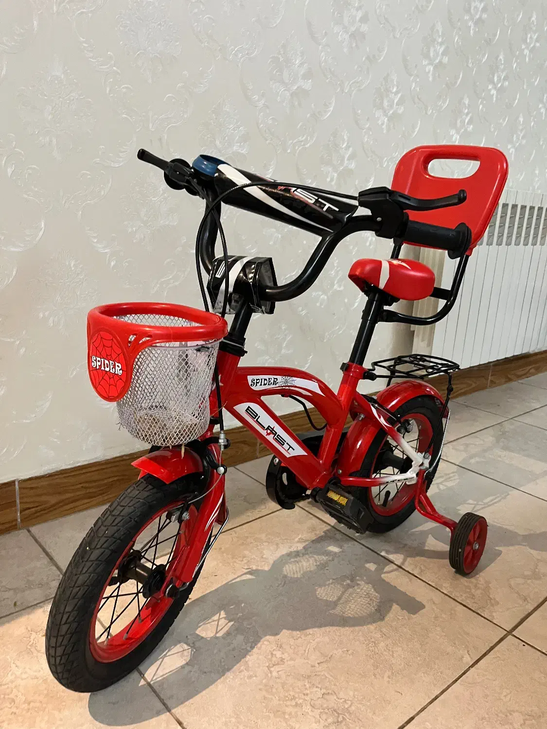 دوچرخه‌|دوچرخه، اسکیت، اسکوتر|رشت, کاکتوس|دیوار