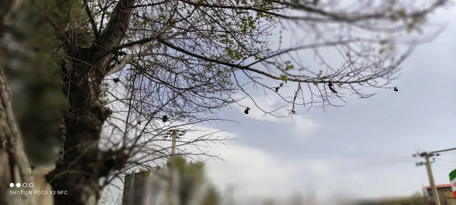 اجاره خانه رایگان ویلایی سورشجان|اجارهٔ خانه و ویلا|لاران, |دیوار