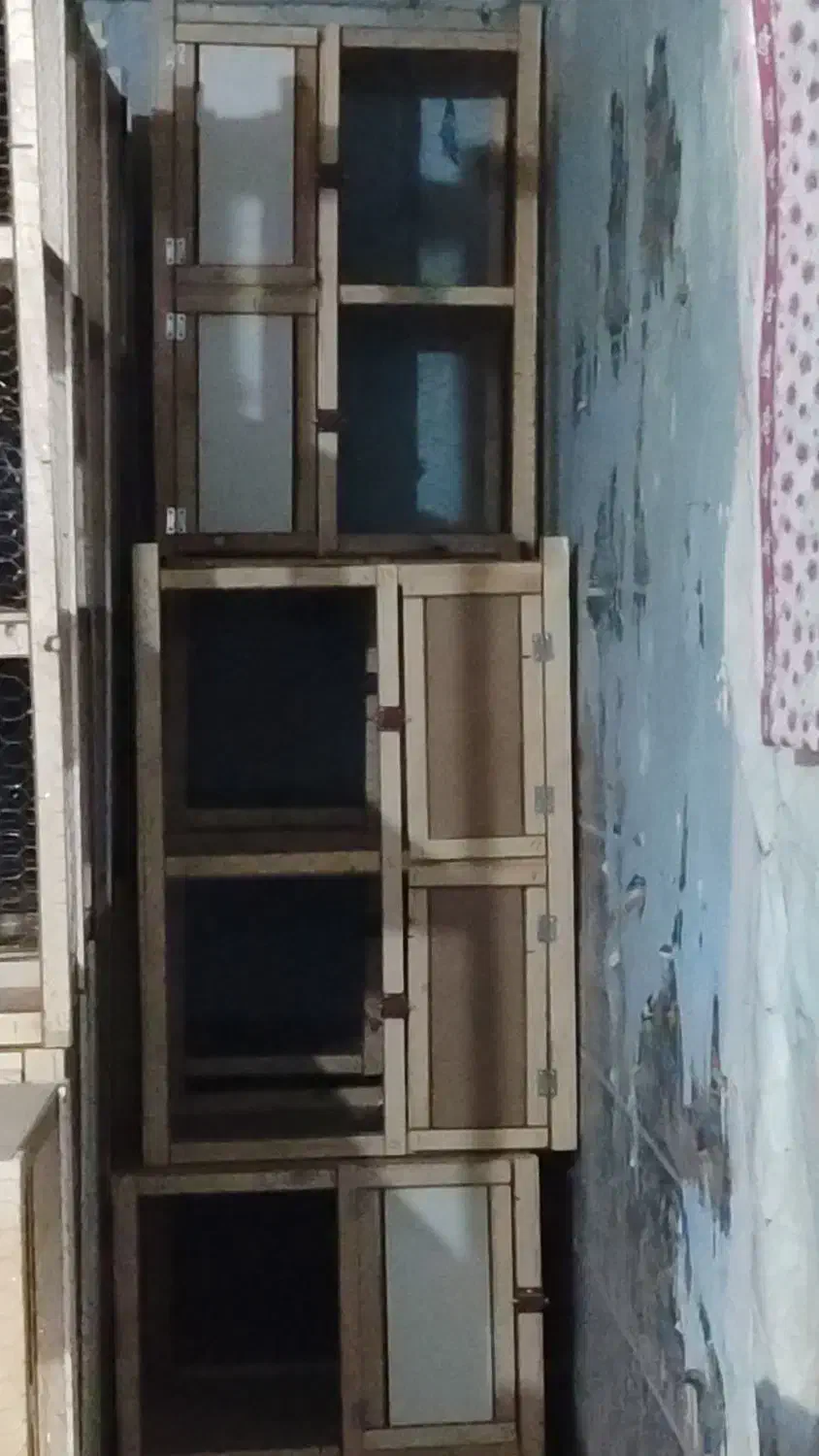 قفس جوجه گیری سوسنگرد|لوازم جانبی حیوانات|سوسنگرد, |دیوار