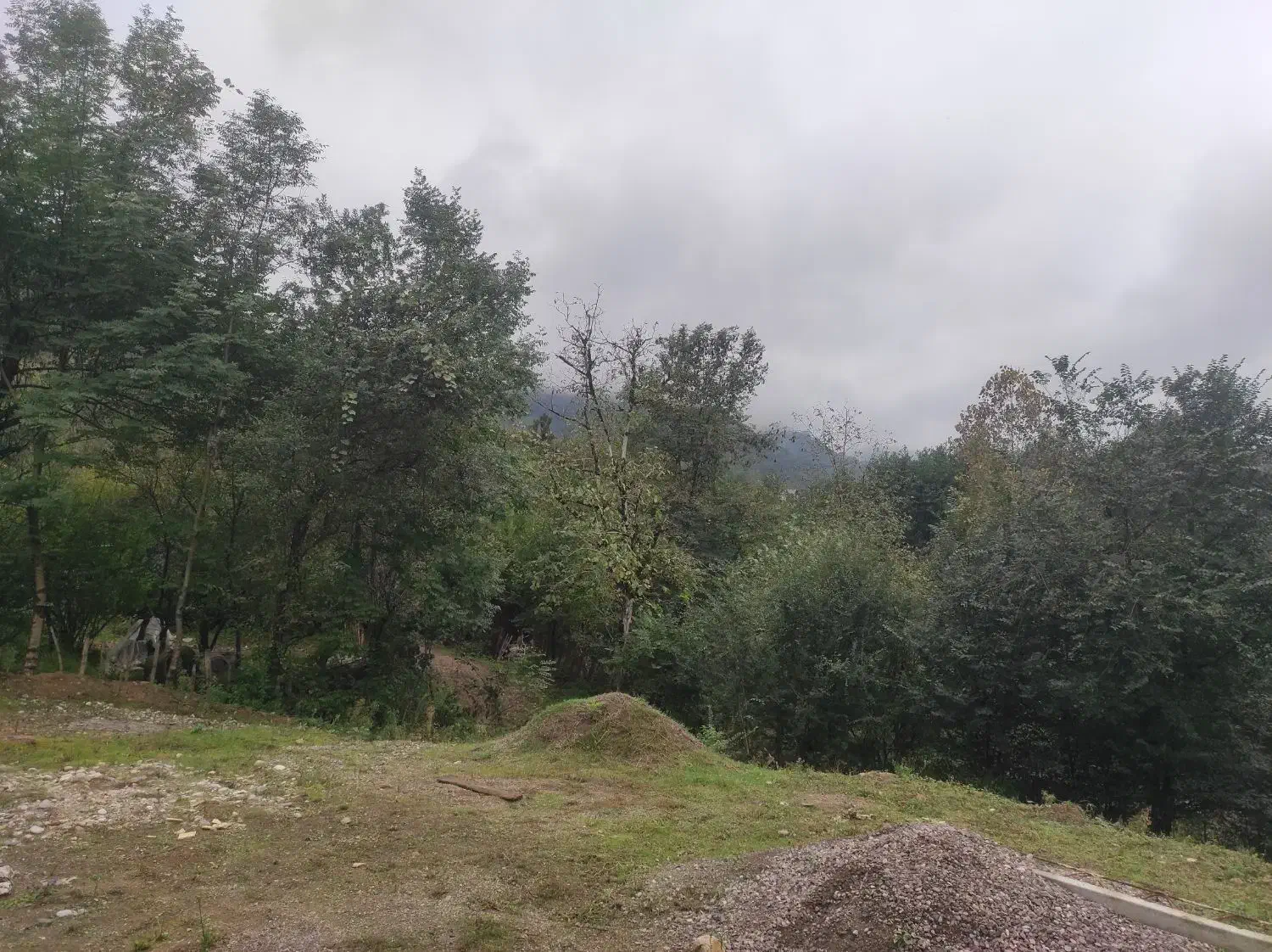 ۲۸۰۰۰هزار متر با مجوز بوم گردی|فروش زمین و ملک کلنگی|ماکلوان, |دیوار