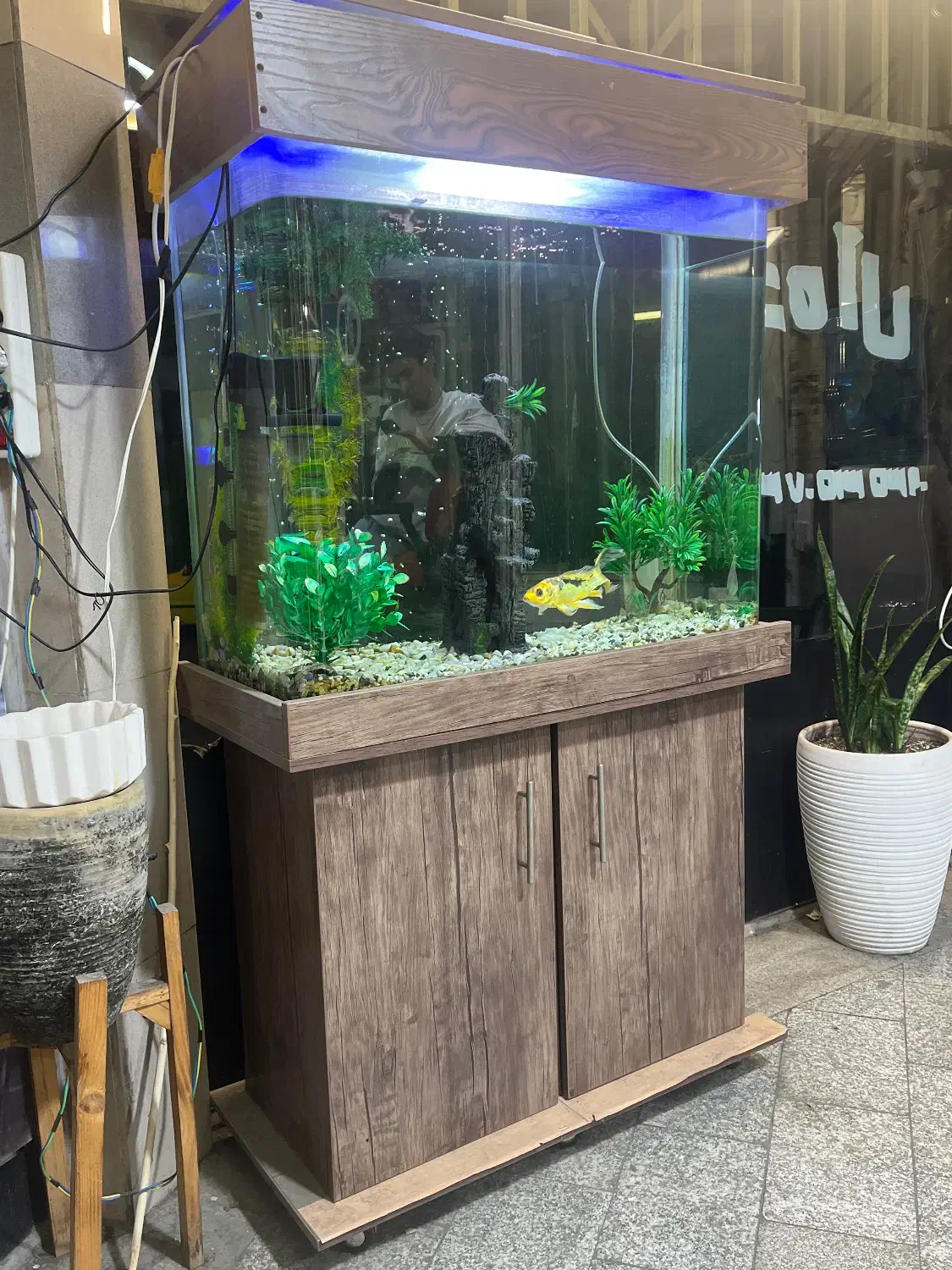 اکواریوم|ماهی|تهران, قیام|دیوار