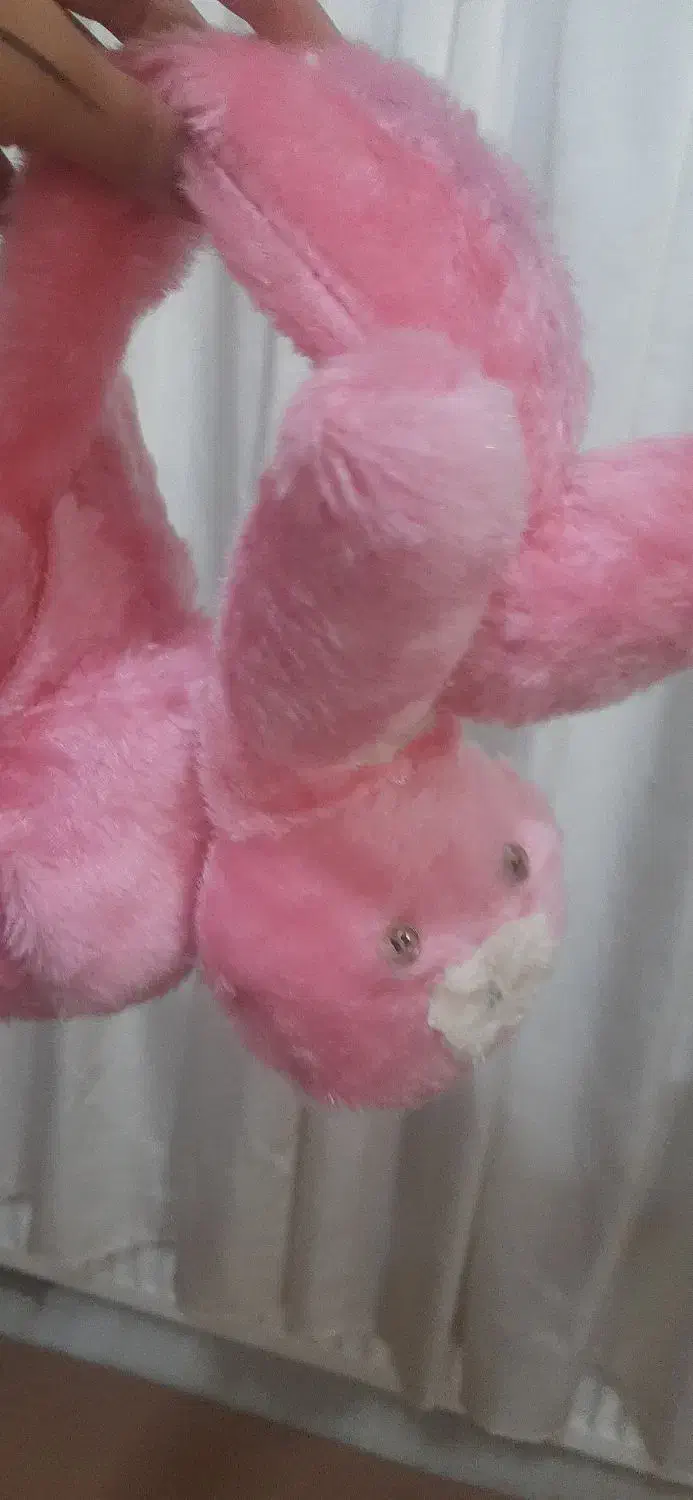 گوشگیر زیبا|صنایع دستی و سایر لوازم تزئینی|گلبهار, شهر جدید گلبهار|دیوار