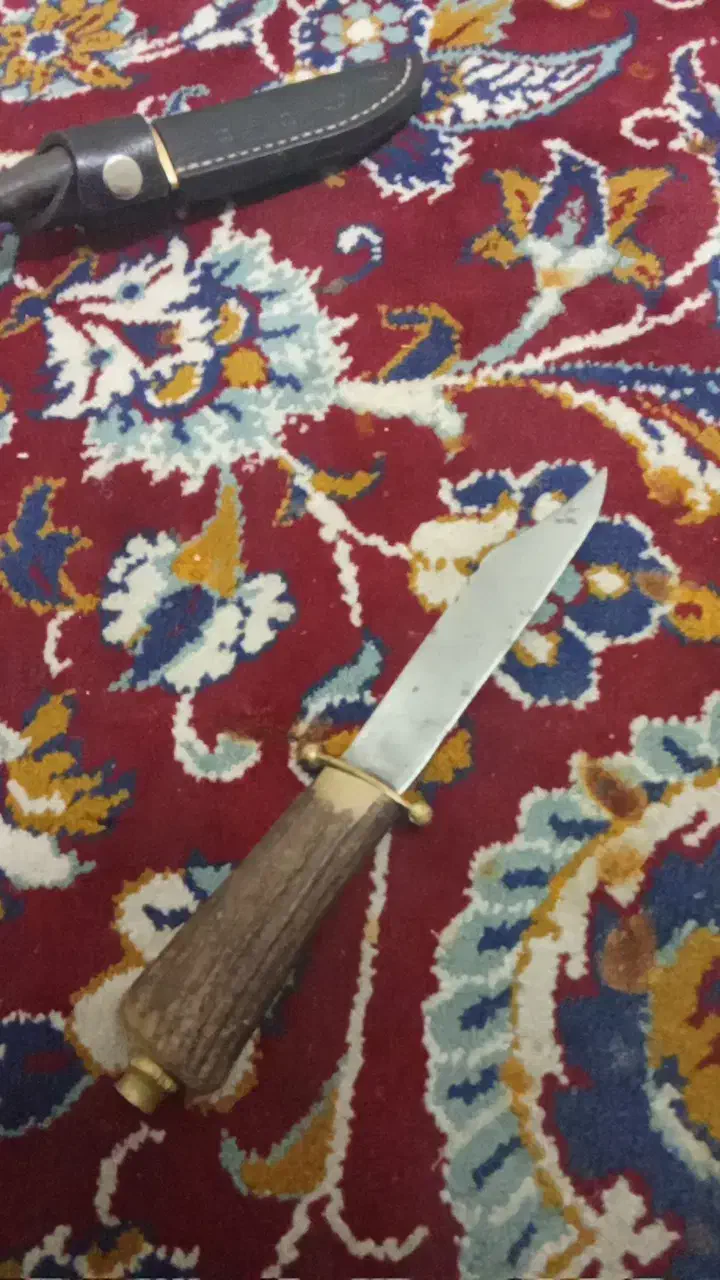 چاقو مخصوص گوشت ریز کردن|ظروف پختوپز|گرگان, |دیوار