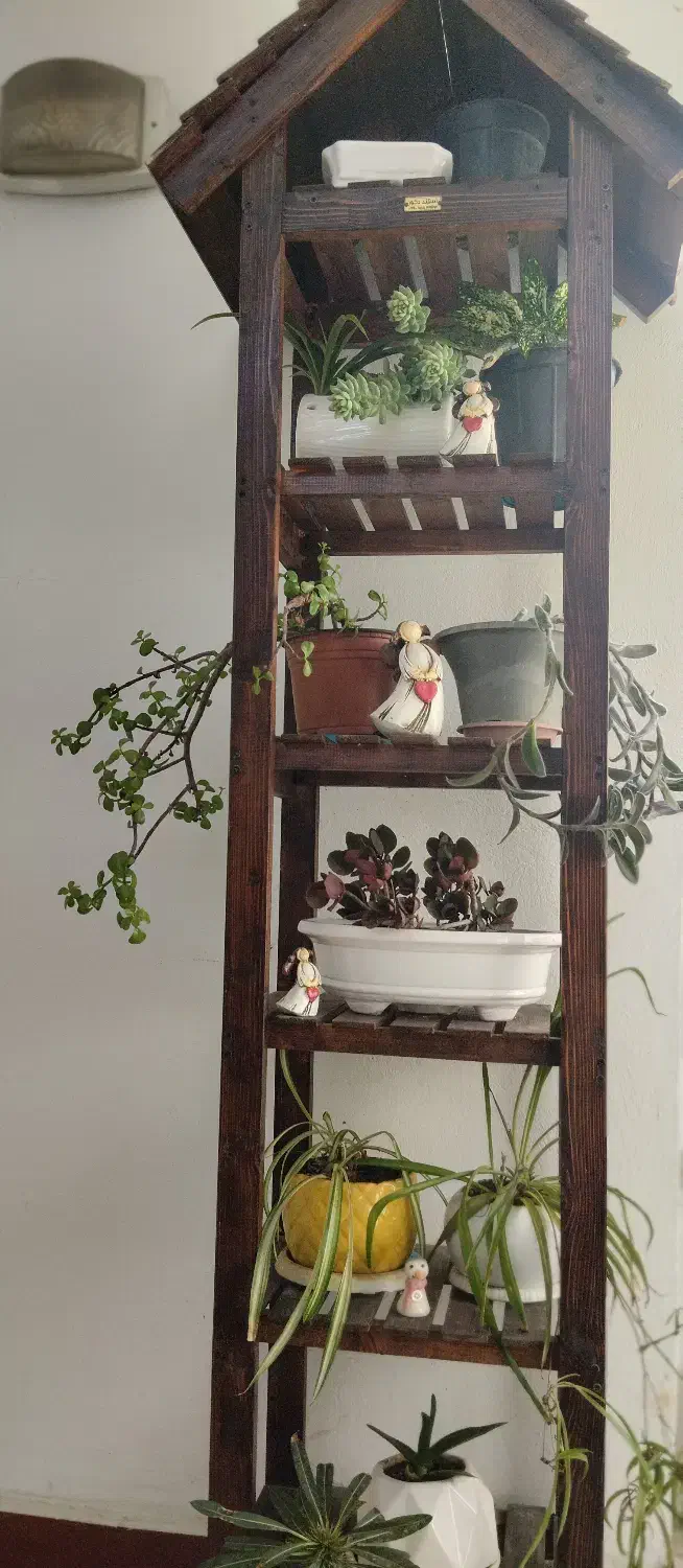 لوازم خانگی|صنایع دستی و سایر لوازم تزئینی|ساری, |دیوار