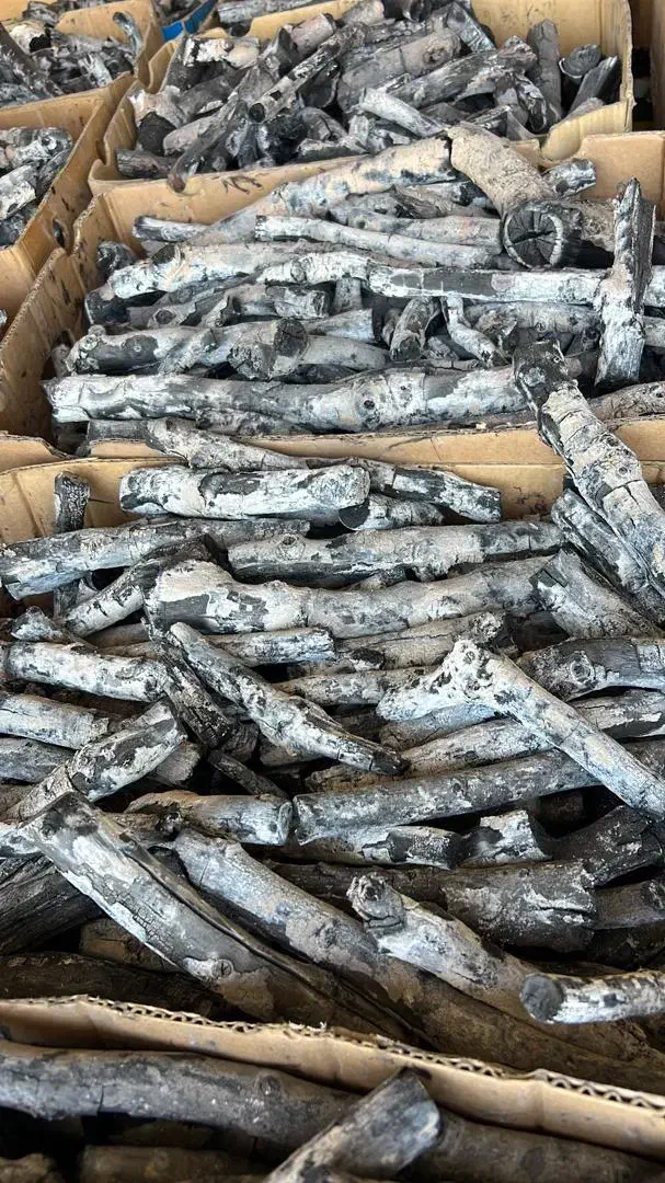 پخش و فروش زغال پسته|عمده‌فروشی|رشت, پیرکلاچای|دیوار