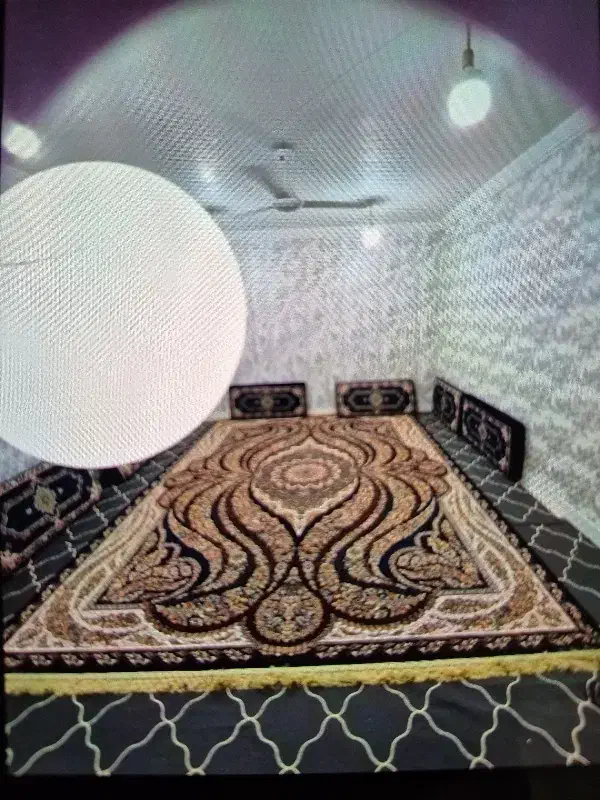 قالی داوزده متری|فرش|بندر ماهشهر, |دیوار