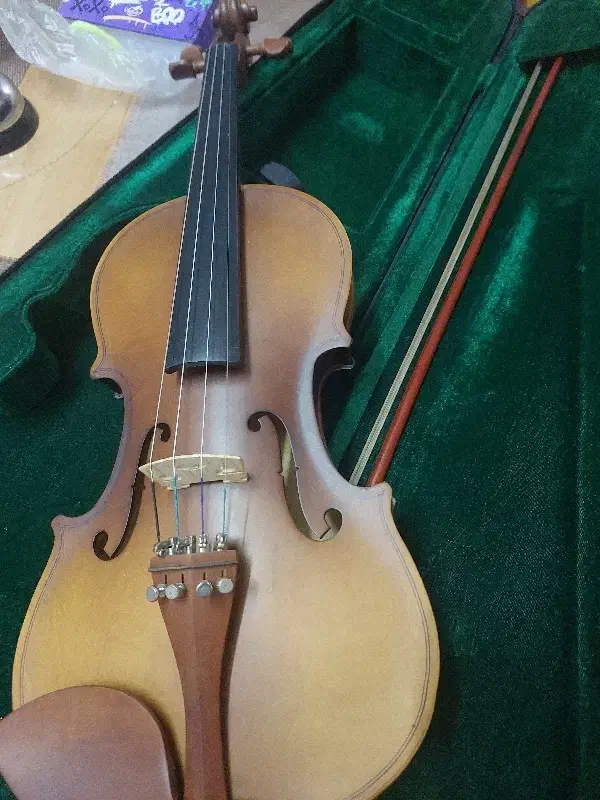 ویالون طبق عکس|ویولن|تهران, جمهوری|دیوار