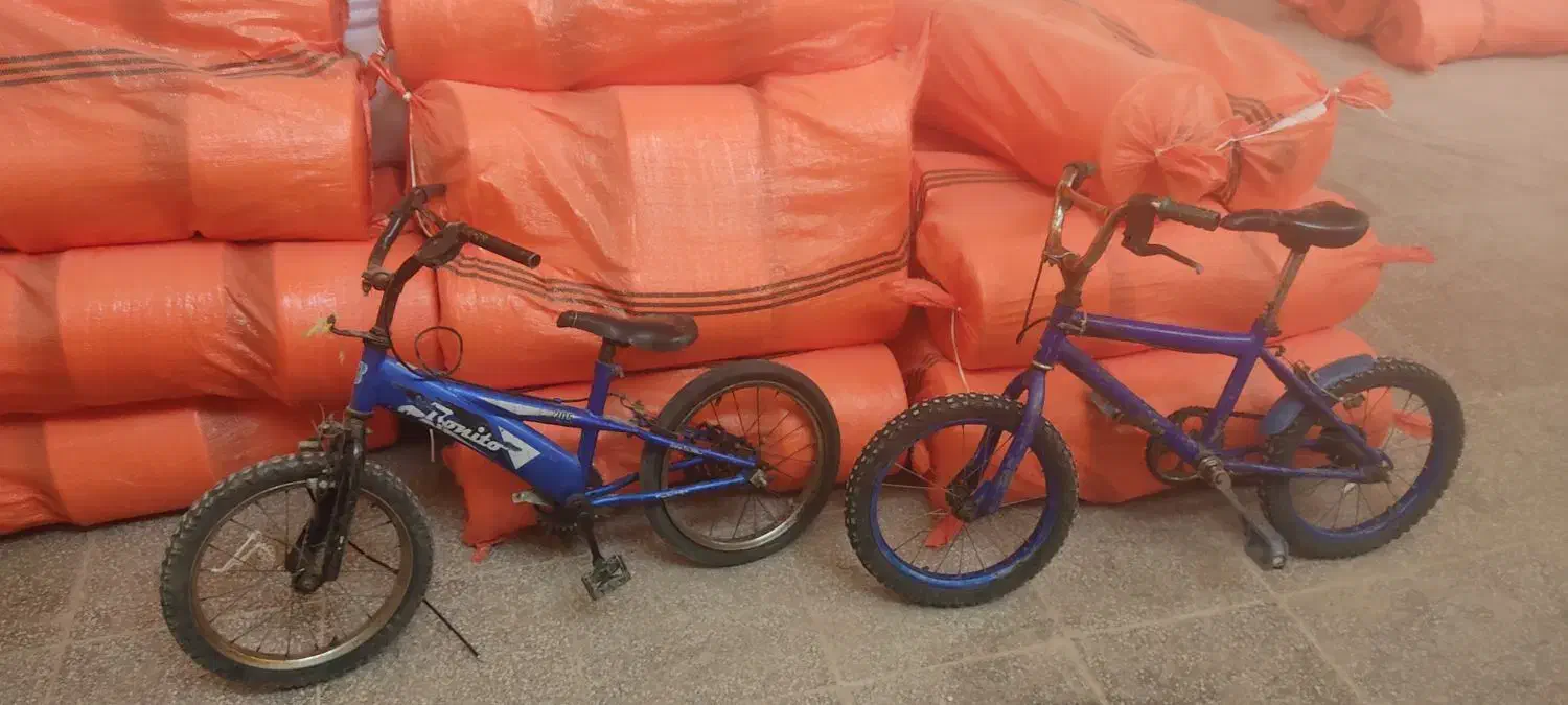 دوچرخه سالم|دوچرخه، اسکیت، اسکوتر|اشکذر, |دیوار