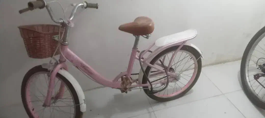 دوچرخه دخترونه|دوچرخه، اسکیت، اسکوتر|شیراز, شهرک فرهنگیان|دیوار