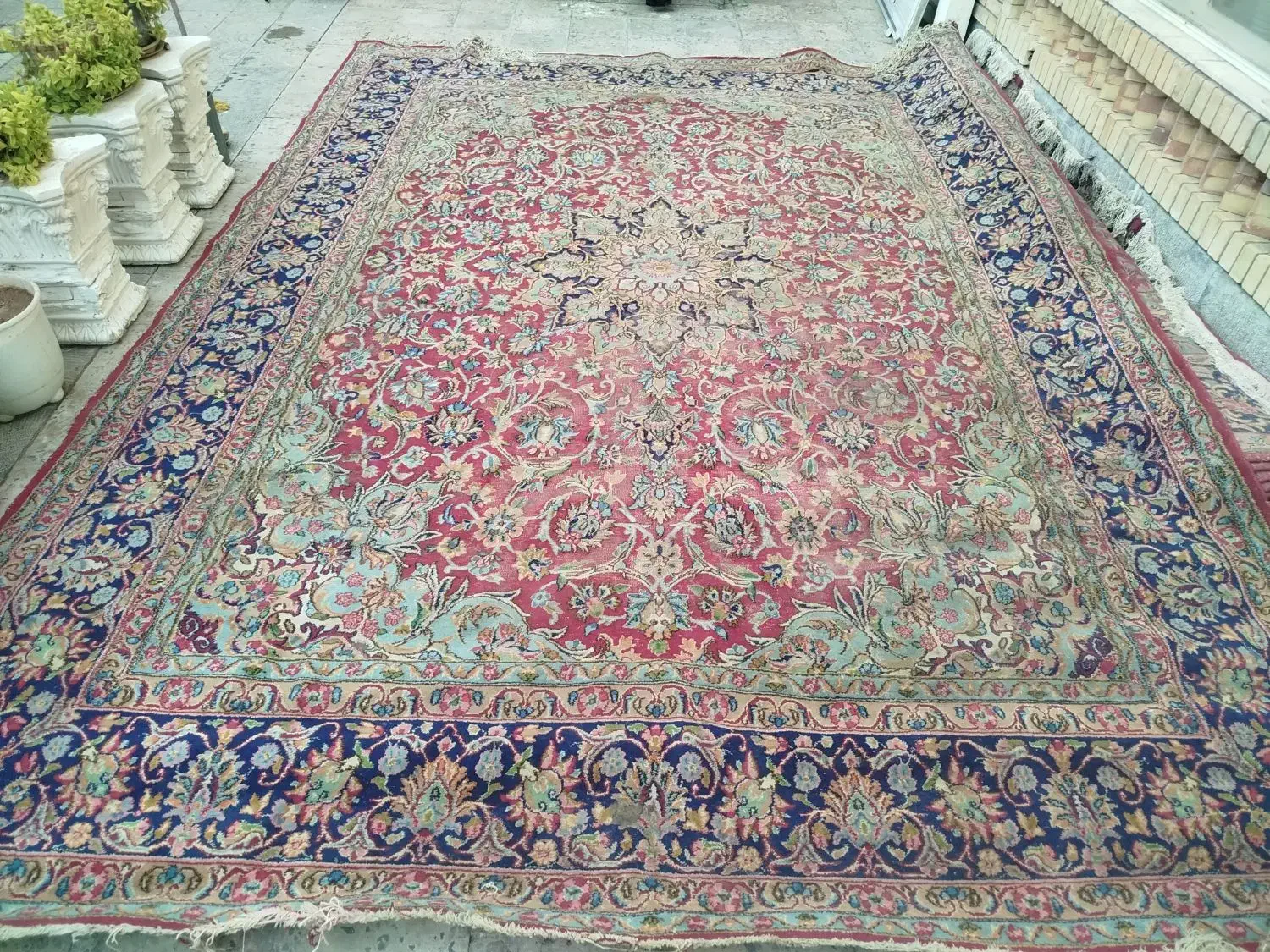 قالی کرمانی عالی|فرش|کرمان, |دیوار