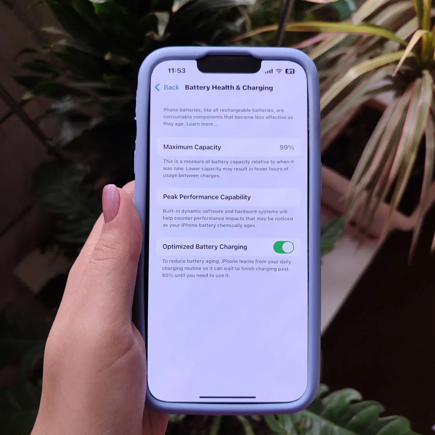 آیفون 13 نرمال|موبایل|قرچک, زیبا شهر|دیوار