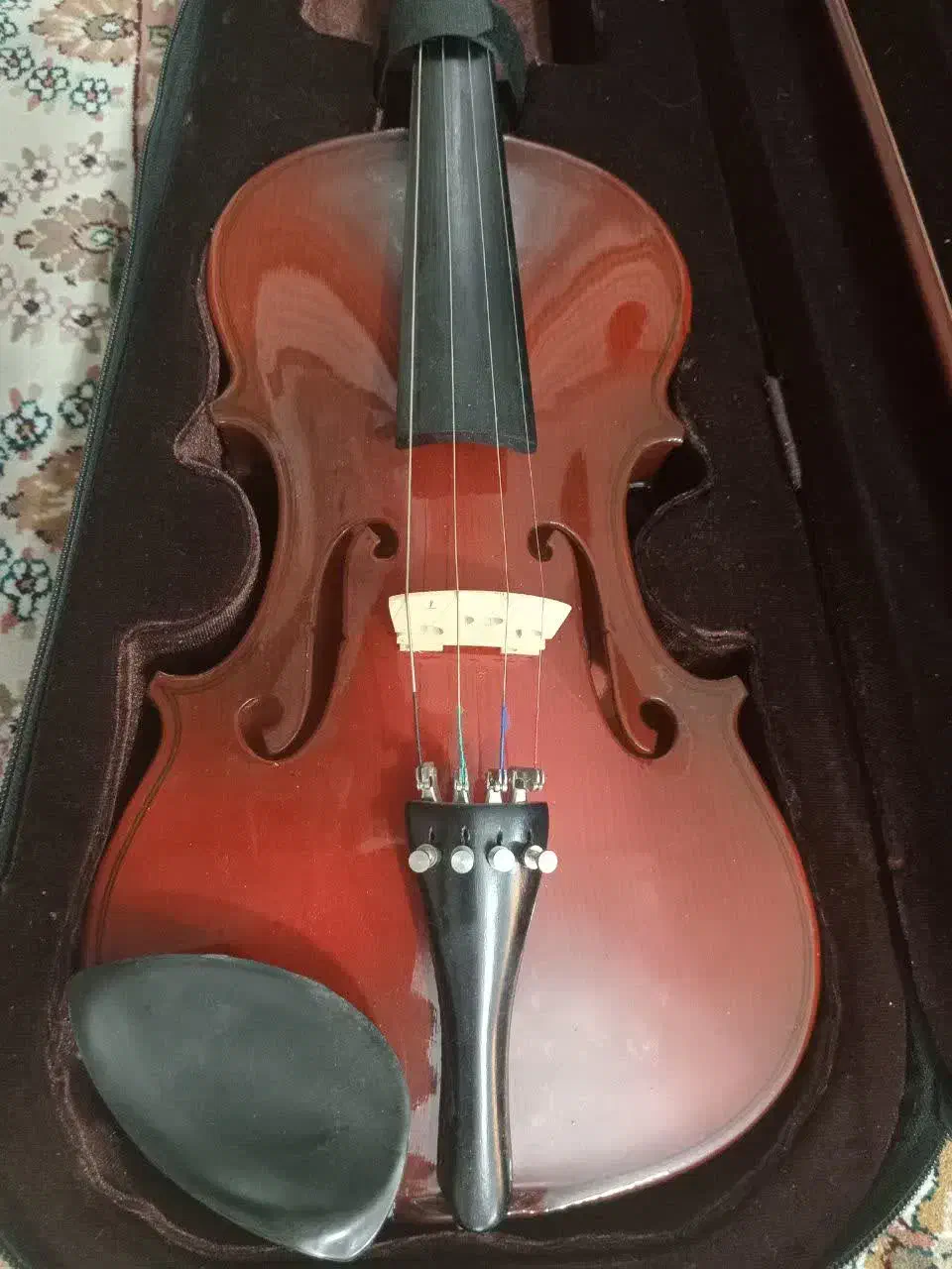 ویالون|ویولن|اصفهان, مولوی|دیوار