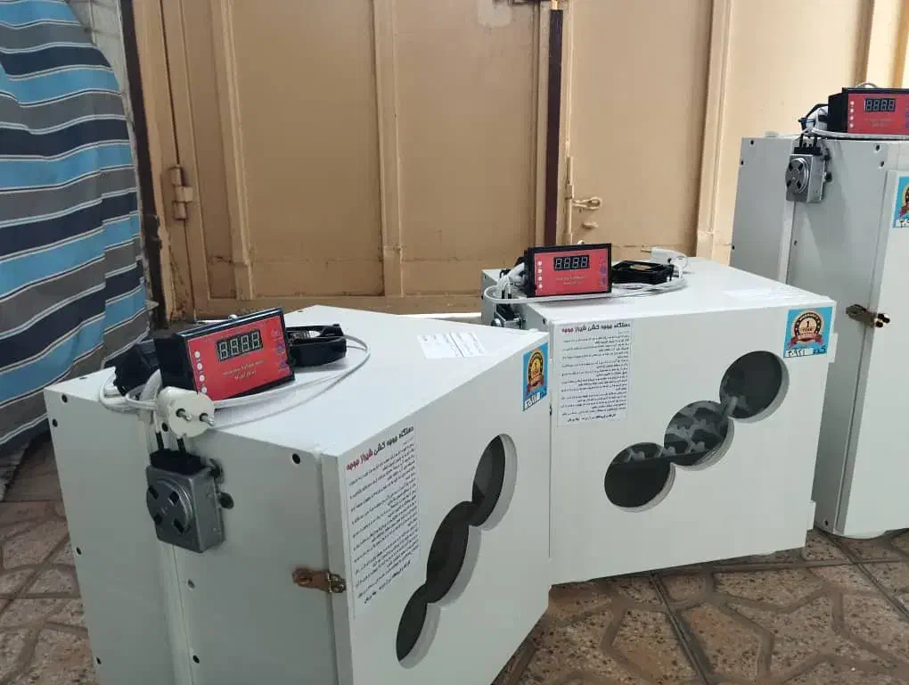 سازنده دستگاه جوجه کشی ارسالی از شیراز|لوازم جانبی حیوانات|مشهد, چهارباغ|دیوار