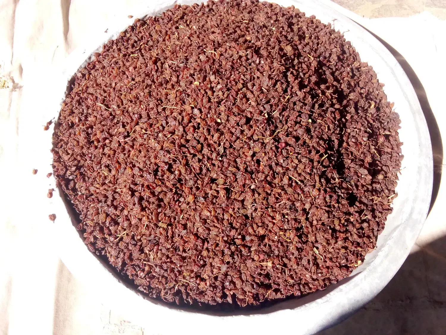 کشمش تیزابی|خوردنی و آشامیدنی|تاکستان, |دیوار