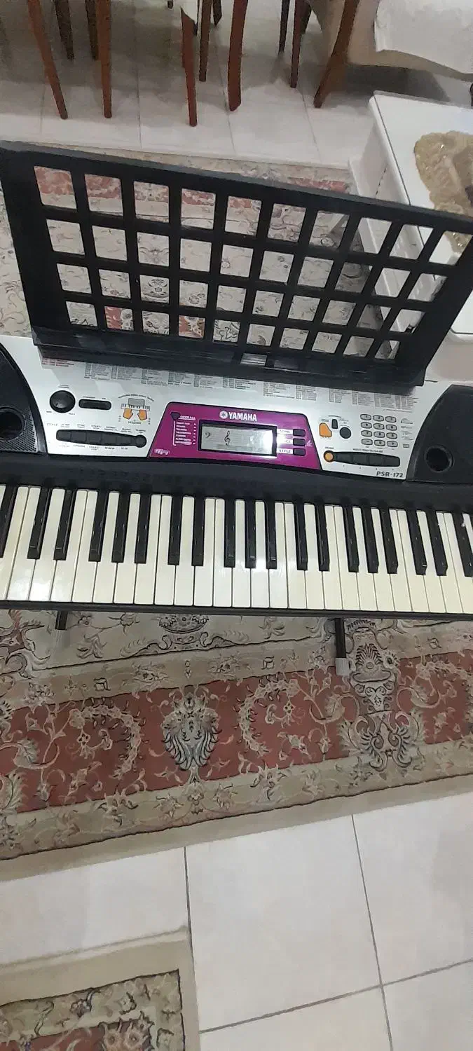 ارگ|پیانو، کیبورد، آکاردئون|رشت, دروازه لاکان|دیوار