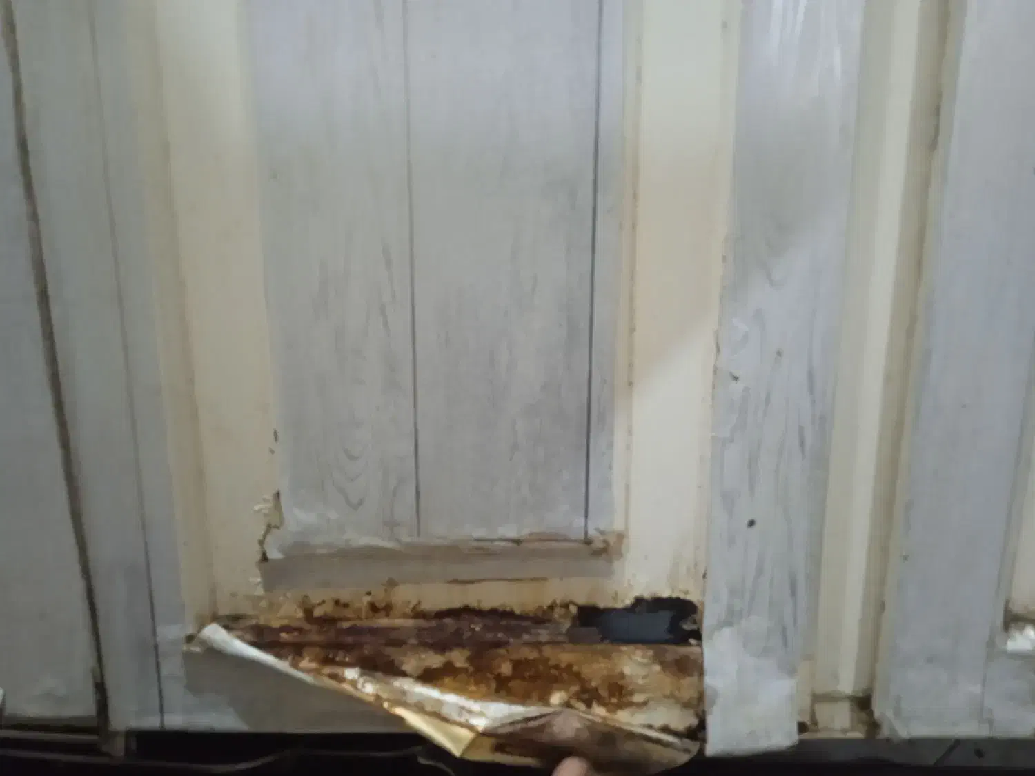 کابینت دست دوم|کتابخانه، شلف، قفسه‌های دیواری|مشهد, تلگرد|دیوار