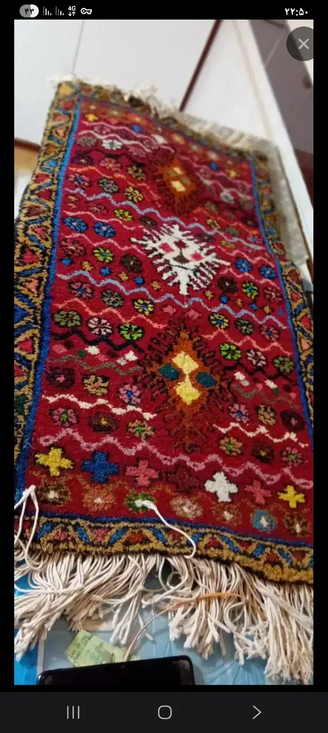 دست باف|فرش|مشگین شهر, |دیوار