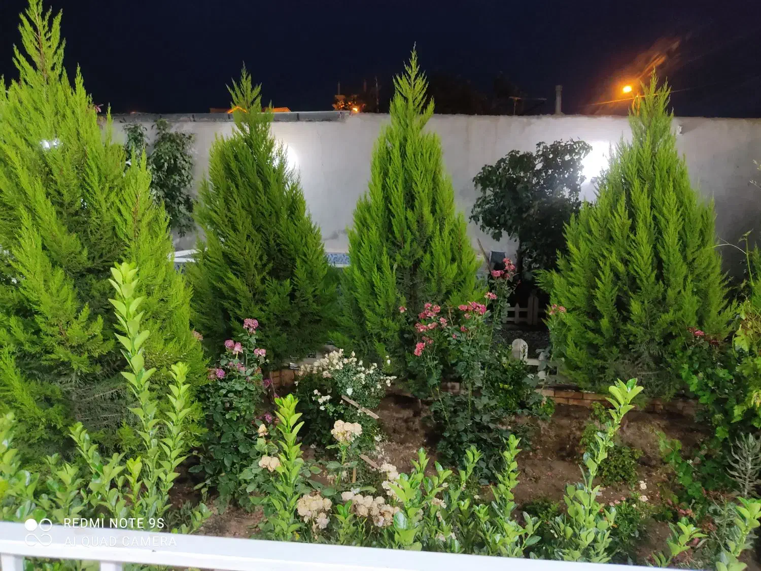 باغچه ای  زیبا  ، دنج  ، امن|اجارهٔ کوتاه‌مدت ویلا و باغ|ورامین, جعفر آباد اخوان|دیوار