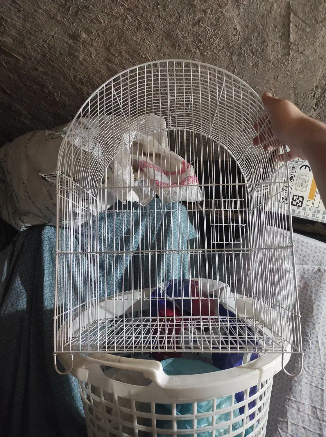 قفس پرنده|لوازم جانبی حیوانات|اصفهان, رکن الدوله غربی|دیوار