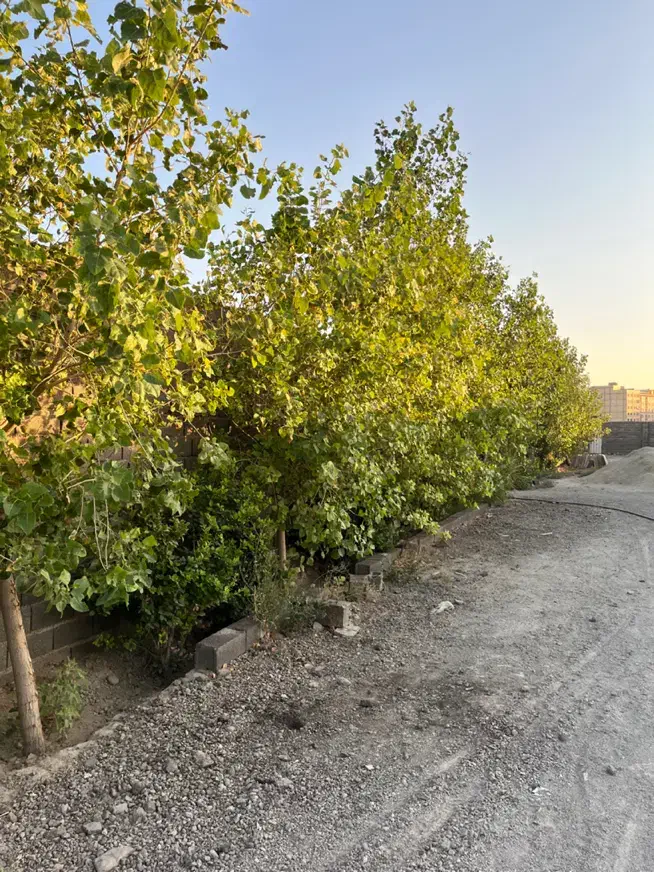 فروش قطعات ۵۰۰ متری سنددار داخل مجموعه|فروش خانه و ویلا|شاهدشهر, |دیوار