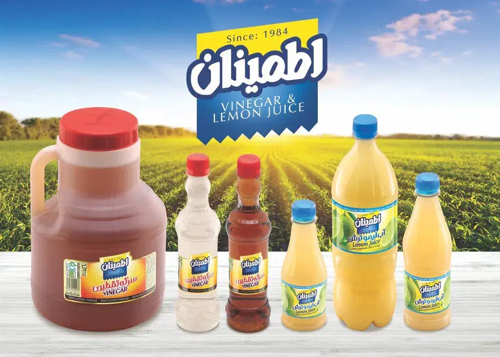 بازاریاب خانم درسطح استان گرگان و گنبد|استخدام بازاریابی و فروش|گرگان, |دیوار